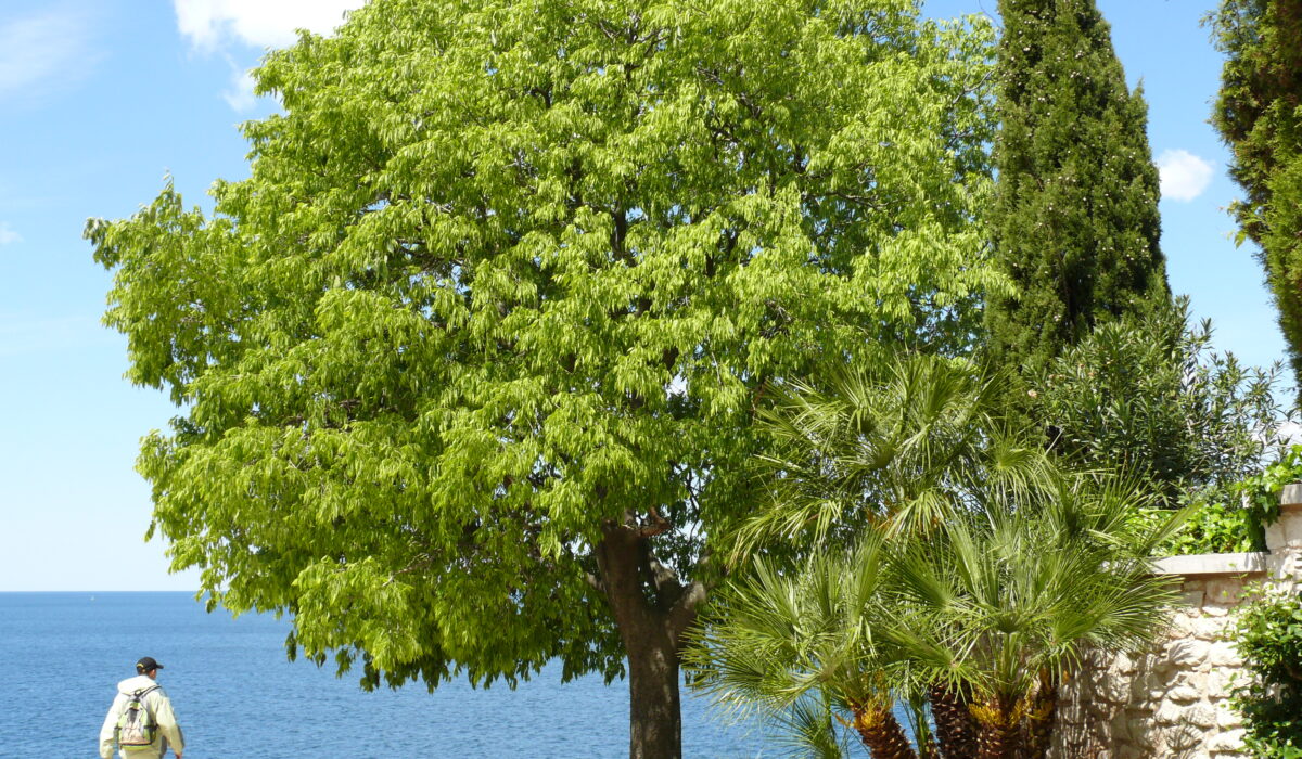 Хорватія, пореч