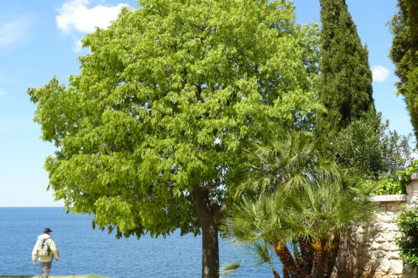 Хорватія, пореч