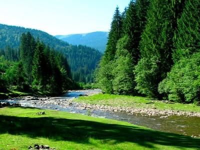 Про перспективи ринку внутрішнього туризму