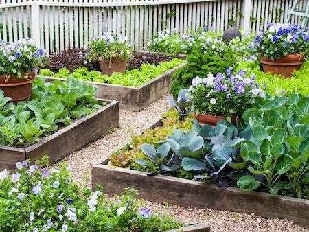 How to use a high garden bed