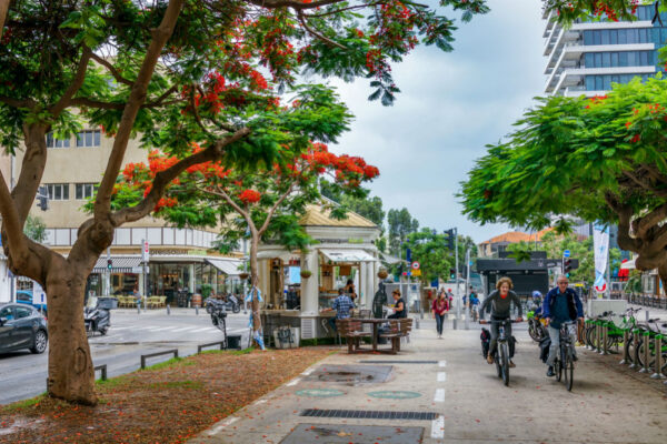 Велосипедний маршрут від Середземного до Мертвого моря створять в Ізраїлі