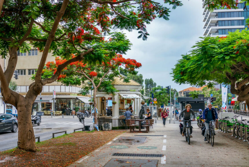 Велосипедний маршрут від Середземного до Мертвого моря створять в Ізраїлі