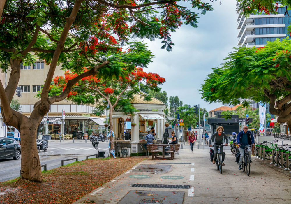 Велосипедний маршрут від Середземного до Мертвого моря створять в Ізраїлі