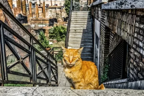 Місце вбивства Цезаря у Римі