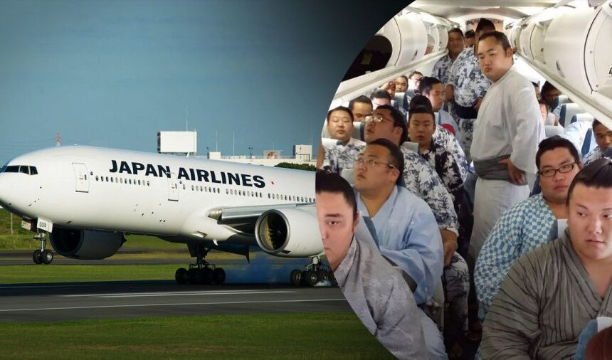 Японській авіакомпанії довелося підняти в небо додатковий літак, щоб перевести пасажирів-сумоїстів