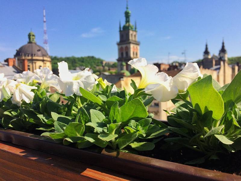 романтичні ідеї для відпочинку в Україні