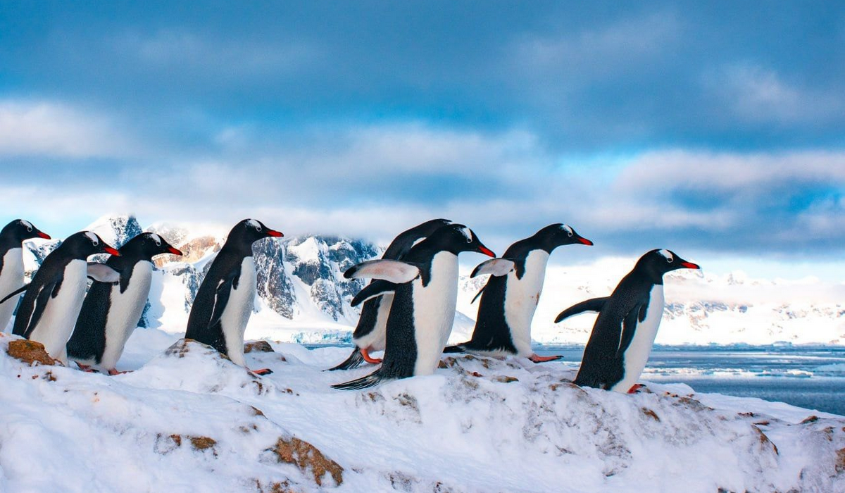 Глобальні тренди 2026: від «цифрових кочівників» до льодів Антарктиди