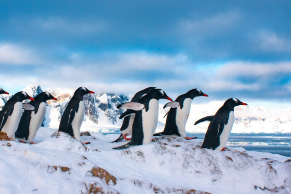 Глобальні тренди 2026: від «цифрових кочівників» до льодів Антарктиди