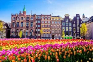 Eurocity Direct Брюссель — Амстердам 26–27 вересня не заїжджатиме до Схіпгола